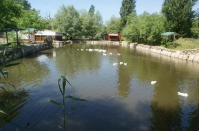 Ekoferma Mezhdumorye